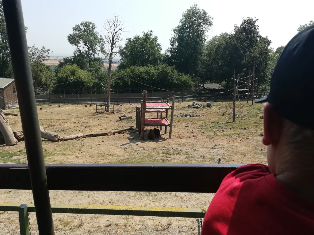 Port Lympne Safari Park