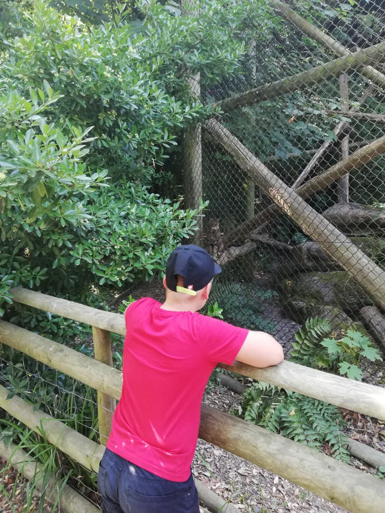 Port Lympne Safari Park