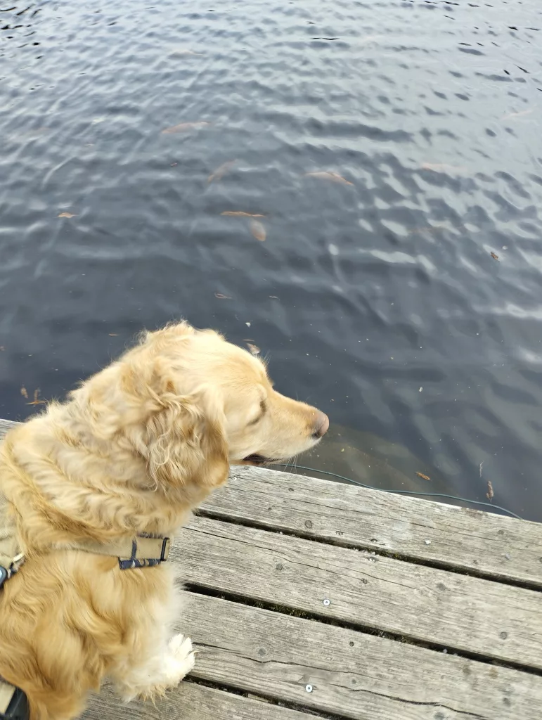 Kurpark Braunlage - Märchenpfad Braunlage
