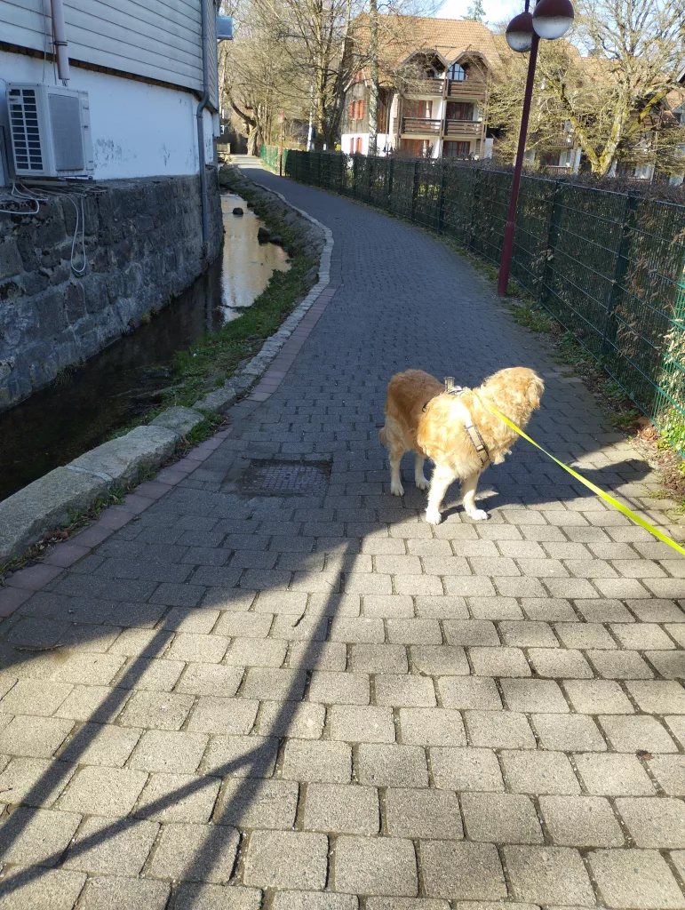 Warme Bode Braunlage