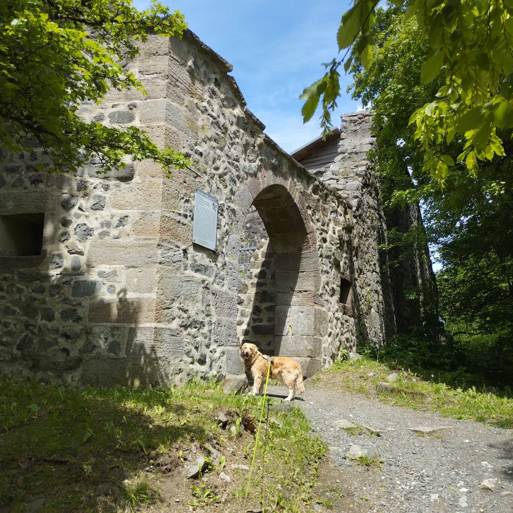 Burg Hauneck