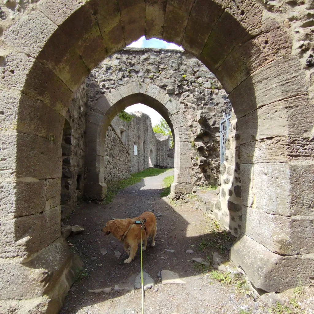 Burg Hauneck