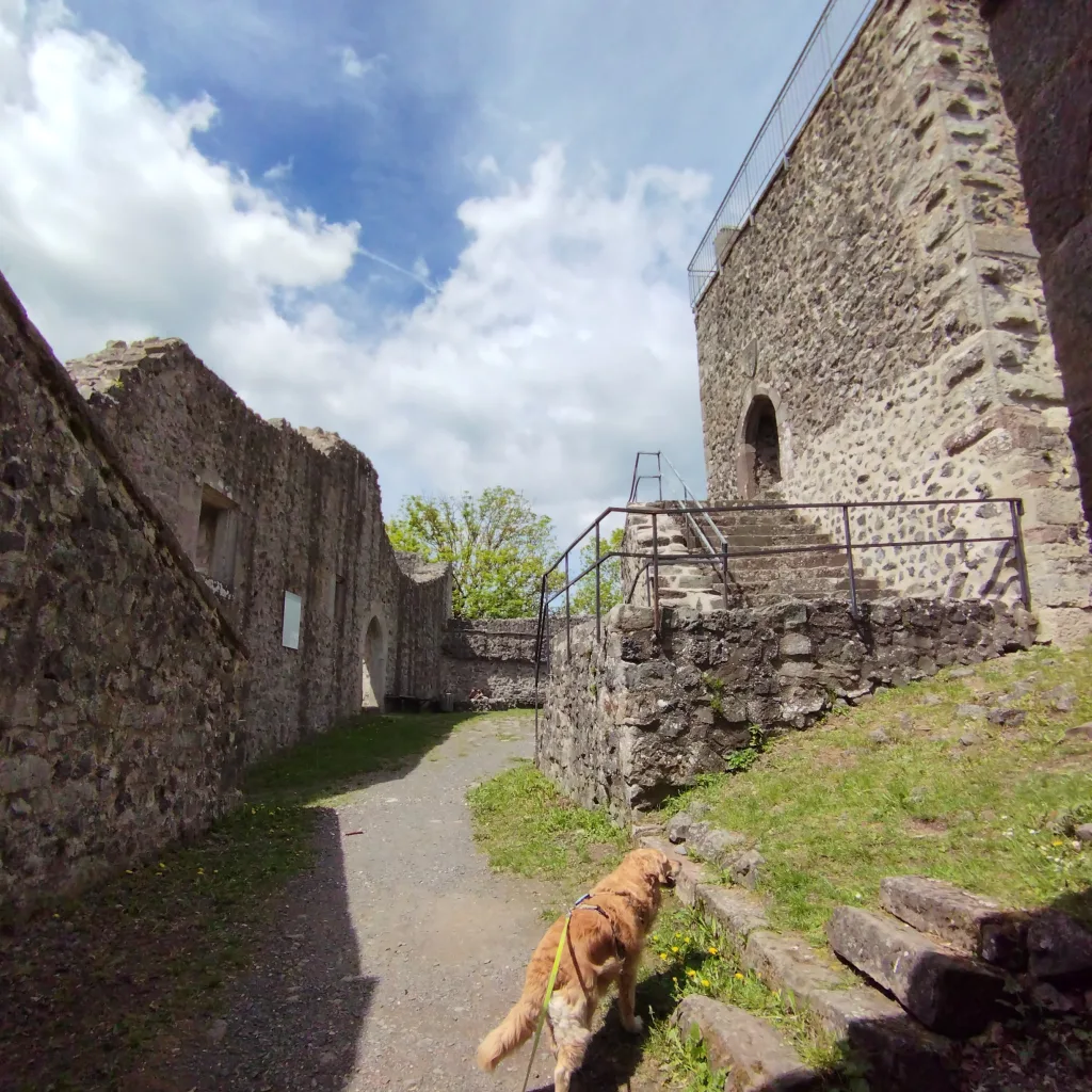 Burg Hauneck