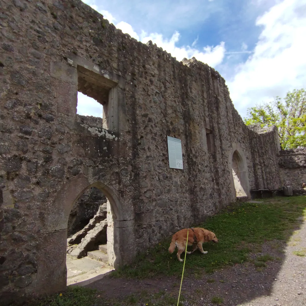 Burg Hauneck