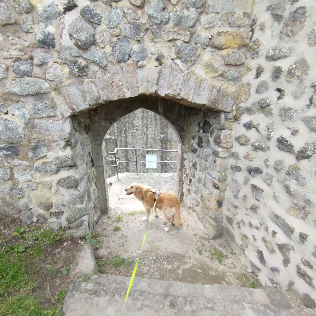 Burg Hauneck