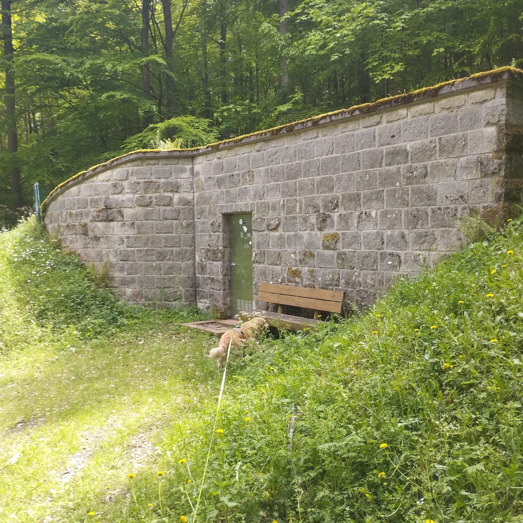 Burg Hauneck
