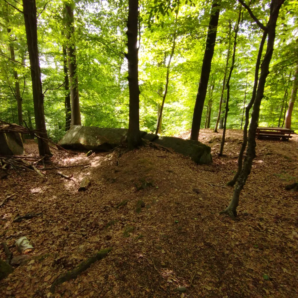 Burg Hauneck