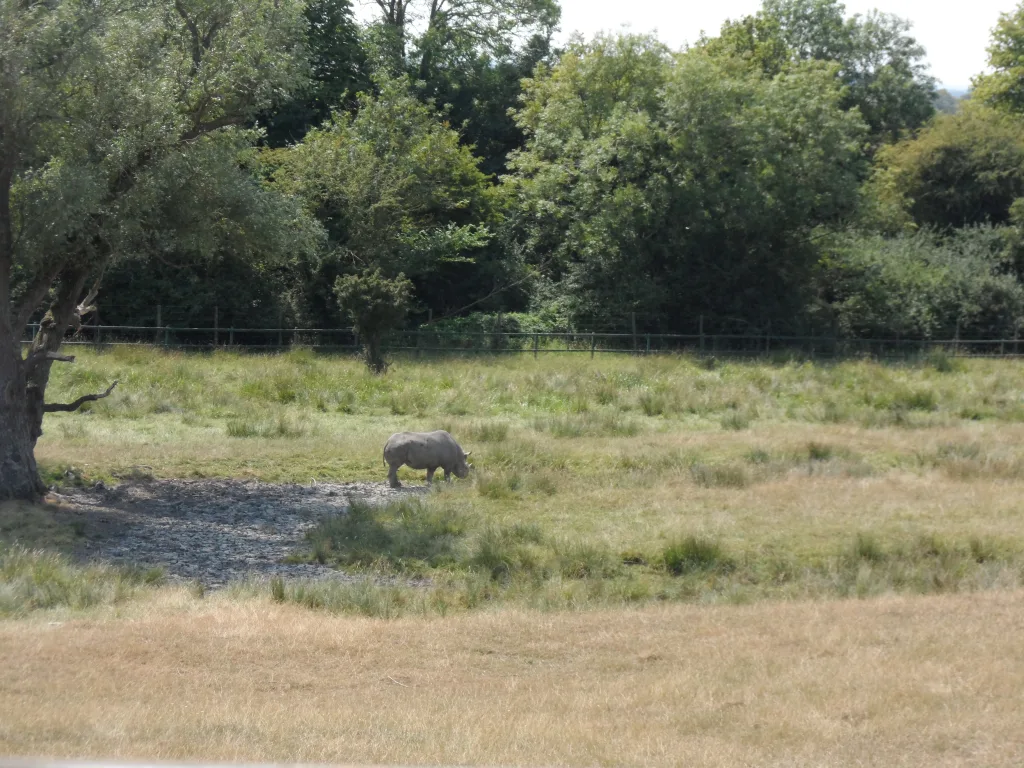 Port Lympne Safari Park