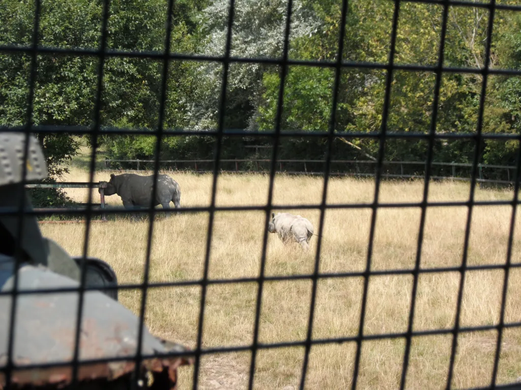 Port Lympne Safari Park