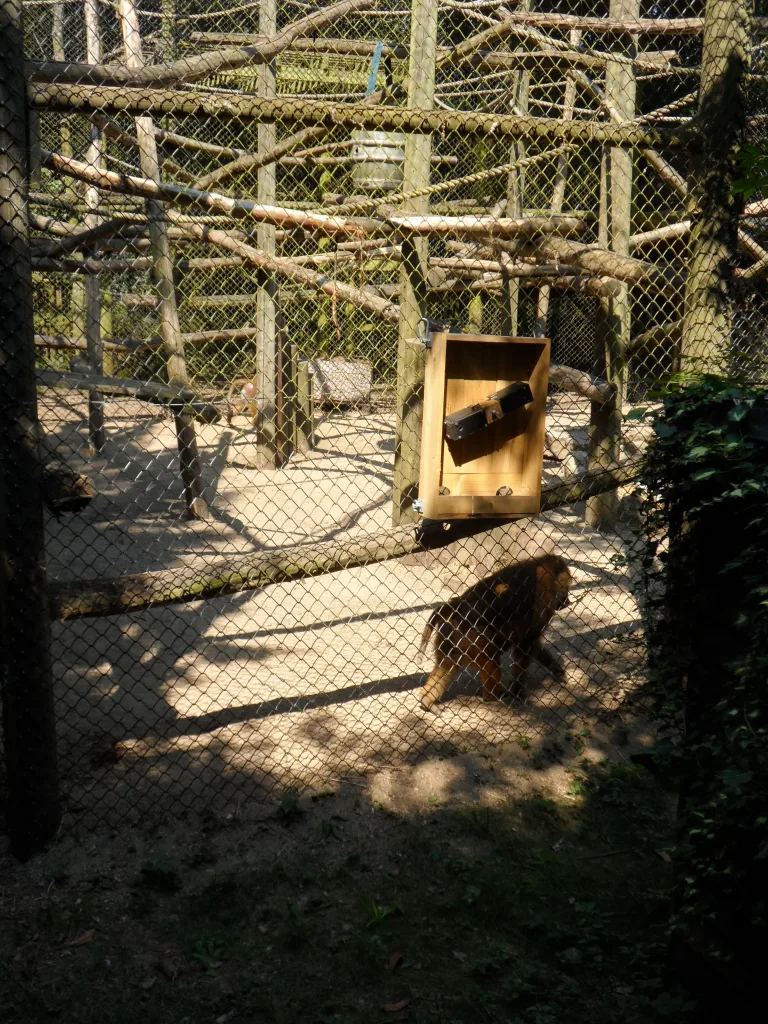Port Lympne Safari Park