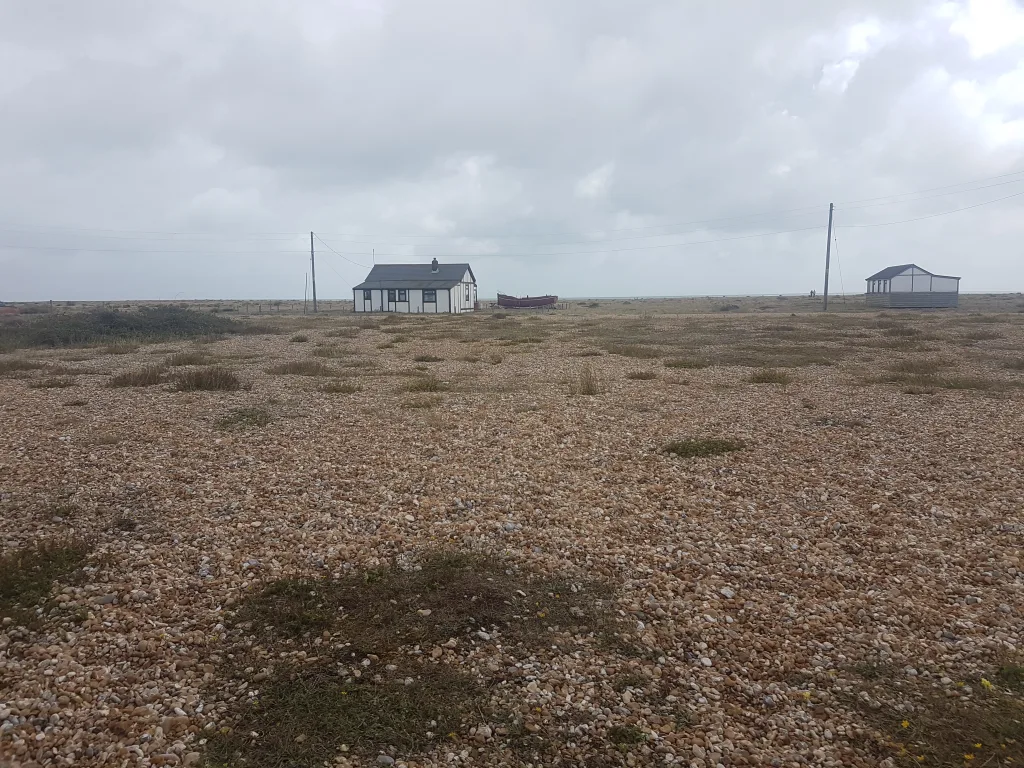 Dungeness