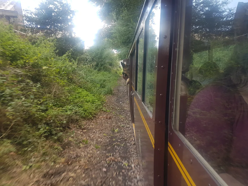 Romney, Hythe & Dymchurch Railway (RH&DR)