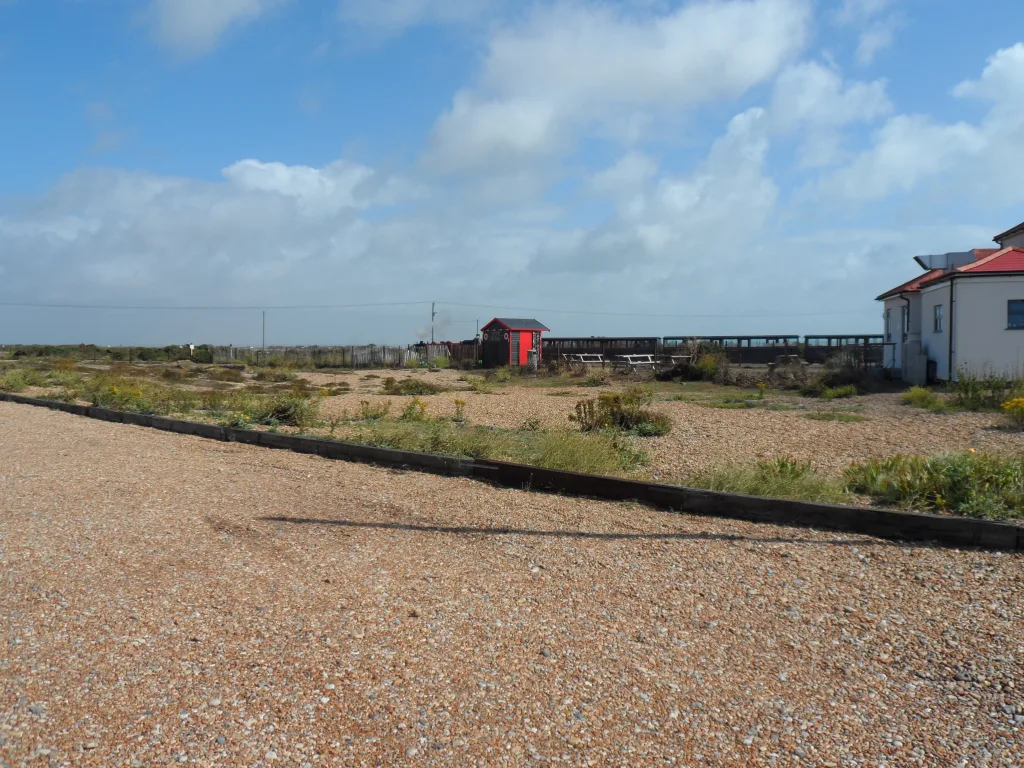 Dungeness