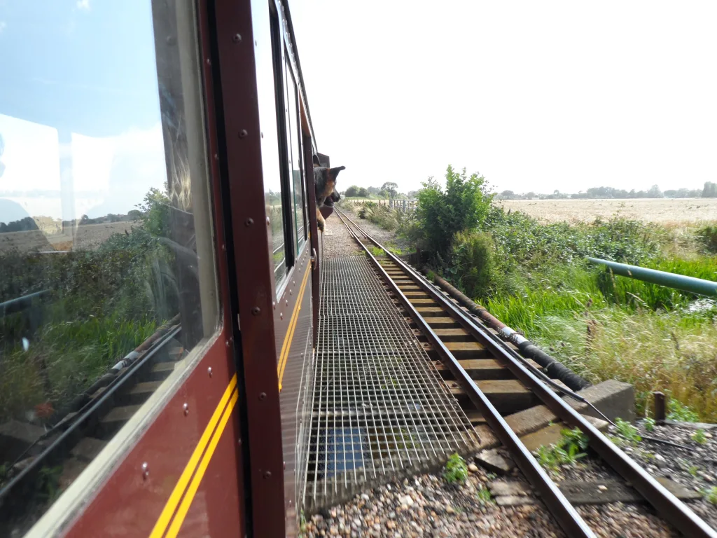 Dungeness